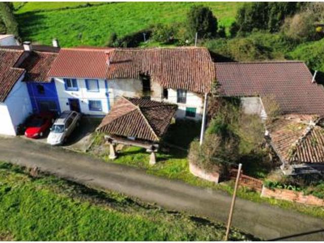 Casa Venta Villaviciosa, Abedules