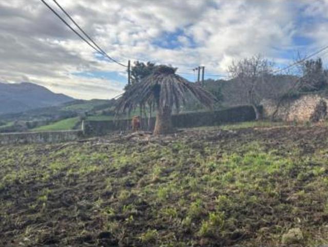 Casa Venta Voto, Nates