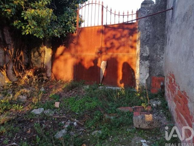 Casa / Villa em Torres Novas São Pedro, Lapas e Ribeira Branca de 60120,00 m²