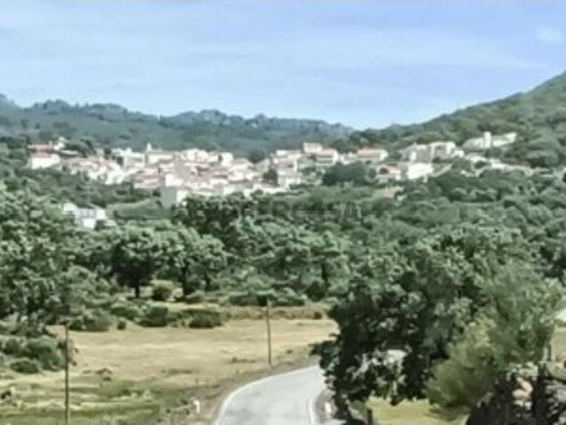 Casa / Villa T1 em Ribeira de Nisa e Carreiras de 36,00 m²