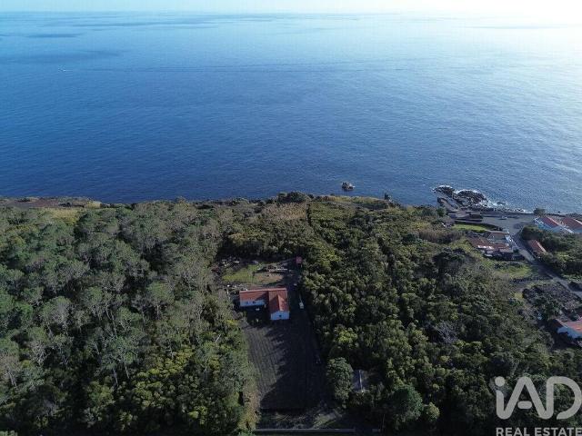 Casa / Villa T3 em São Caetano de 220,00 m² 220m² São Roque Do Pico