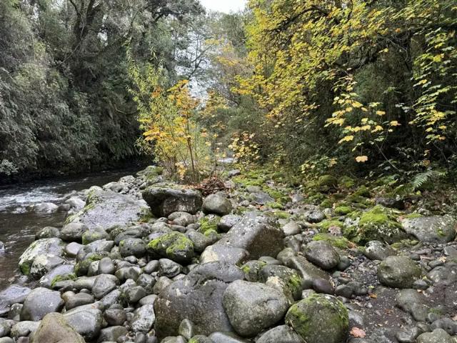Casa y complejo turístico venta de 3 cabañas en Puerto Varas | 3 dormitorios por 550000. 00 en Puerto Varas