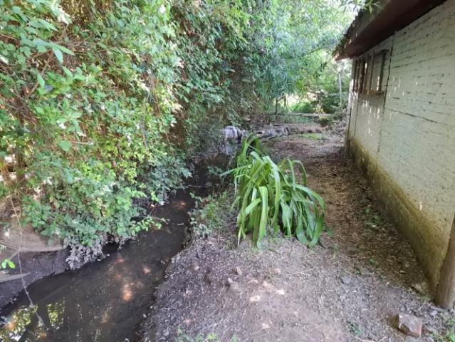 Casa y Parcela de 1 Hectárea en sector San Antonio Encina | 4 dormitorios por 150000. 00 en Linares