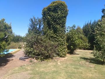 Villa Alegre, Provincia de Linares, Región del Maule