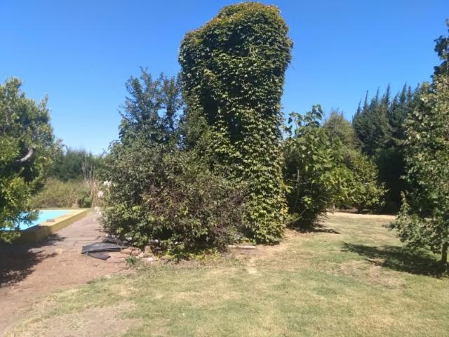 Casa y Parcela de Media Hectárea, ubicada en Villa Alegre | 10 Dormitorios por 160000. 00 en Villa Alegre