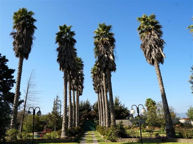 Casa y parcela en venta de 5 dorm. En Quillota | 5 dormitorios por 20000.00 en Quillota