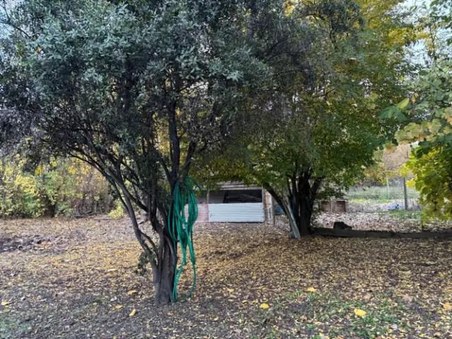 Casa y parcela en Palmilla / frente a camino asfal | 3 dormitorios por 95000. 00 en Linares