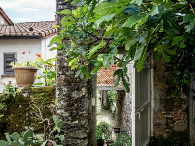 Casa 1 camere da letto, Campiglia Campiglia 19132 DS92239082