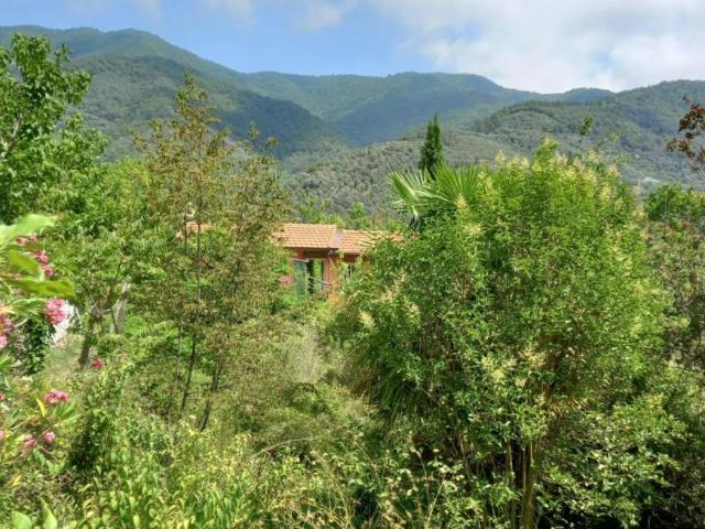 Casa 1 camere da letto, Ceriana Ceriana 18034 DLS101838061