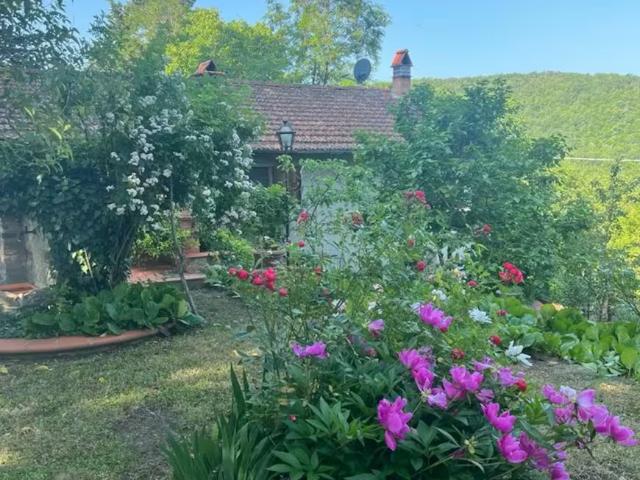 Casa 1 camere da letto, San Godenzo San Godenzo 50060 ES98539859