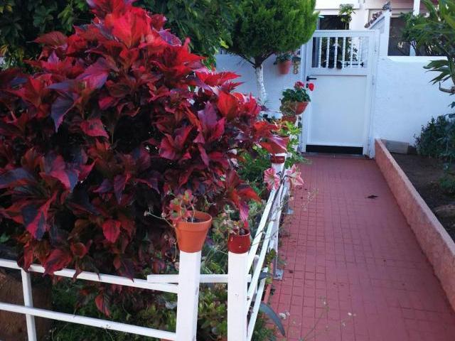 Casa 1 Dormitorio Puerto De La Cruz Puerto De La Cruz ES85817001
