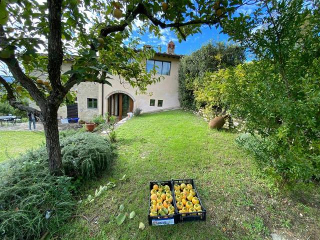 Casa 2 camere da letto, Pelago Pelago 50060 DS105310653