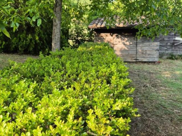 Casa 2 camere da letto, San Venanzo San Venanzo ES93286501