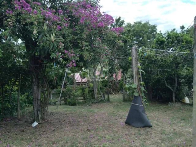 Casa 2 dormitórios à venda Belém Novo Porto Alegre/RS