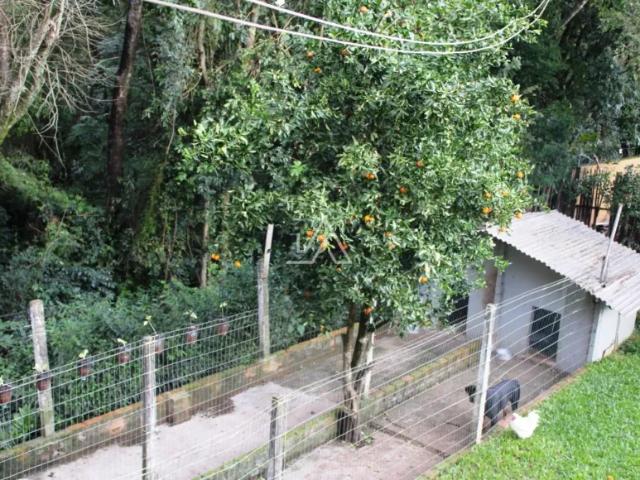 Casa 3 dormitorios a venda, com piscina no bairro medianeira em panambi rs