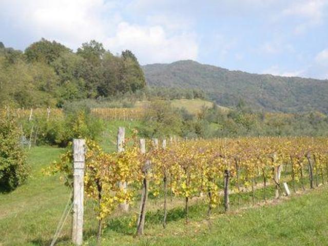 Casa 4 camere da letto, Bassano del Grappa Veneto DS103701416