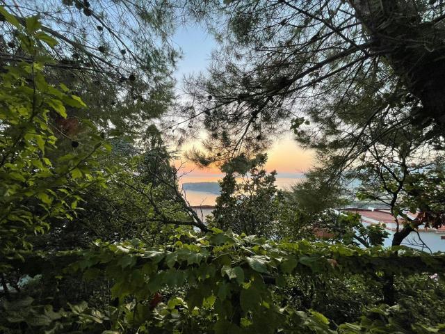 Casa 4 camere da letto, San Nicola Arcella San Nicola Arcella 87020 ES77060311