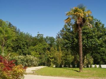 Casa 4 Dormitorio Pontedeume Pontedeume ES99385531