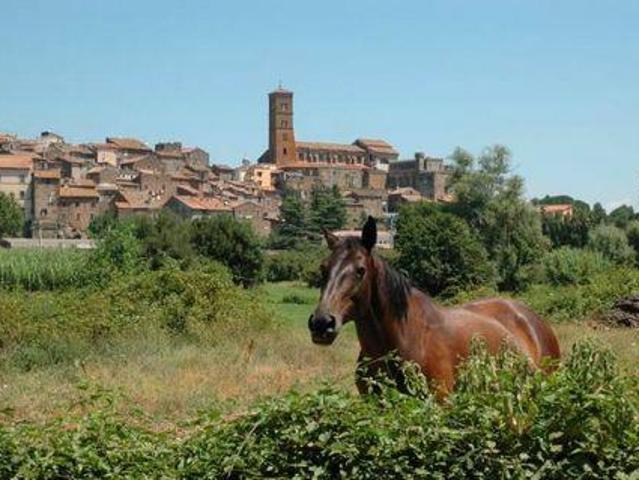 Casa 6 camere da letto, Rome Lazio DS103846110