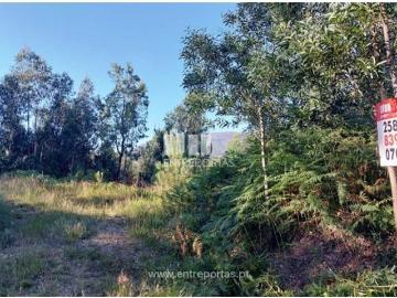 Nogueira Meixedo e Vilar de Murteda, Viana do Castelo, Distrito de Viana do Castelo