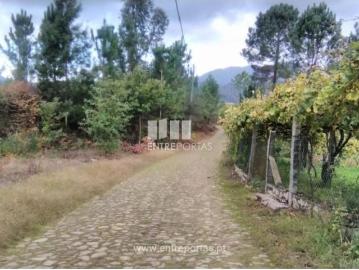 Nogueira Meixedo e Vilar de Murteda, Viana do Castelo, Distrito de Viana do Castelo