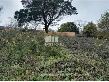 Afife, Viana do Castelo, Distrito de Viana do Castelo