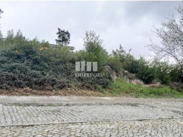 Afife, Viana do Castelo, Distrito de Viana do Castelo