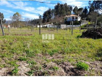 Casaa 1 quarto, Amarante Amarante DS99922374