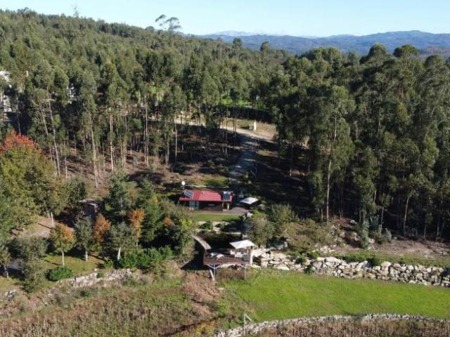 Casaa 1 quarto, Campos Campos 4830 ES103396921