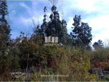 House à venda em Cinfães