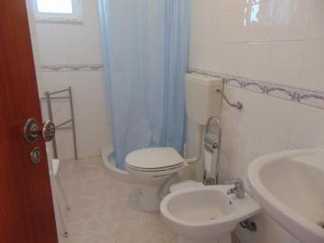Casaa 1 quarto, Coruche Coruche ES99385167