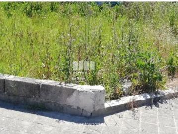 Rua Da Texugueira, Vila Nova da Telha, Maia, Distrito de Porto