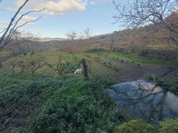 Casaa 1 quarto, Pinhel Pinhel 6400 DS102849433