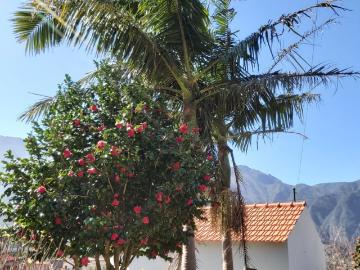 Casaa 1 quarto, São Vicente São Vicente DS77938027