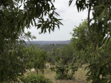 São Bartolomeu de Messines, Concelho de Silves, Distrito de Faro, Algarve