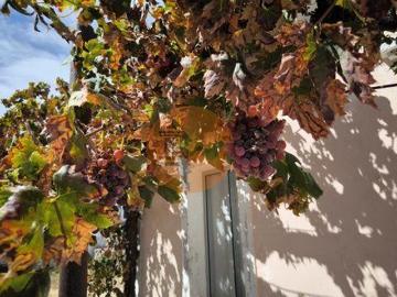 Casaa 3 quarto, Castro Marim Faro 8950 DS96316354