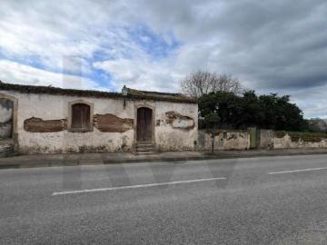 Casaa 3 quarto, Golegã Golegã DS98374683