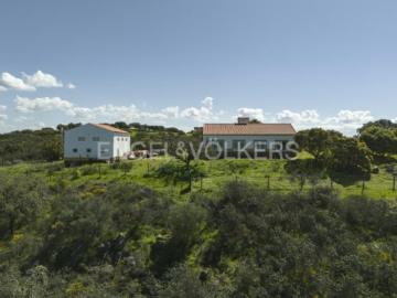 Casaa 3 quarto, Reguengos de Monsaraz Reguengos de Monsaraz DLS100219367