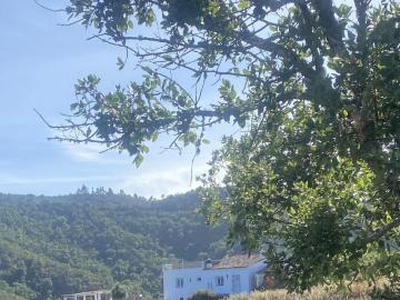 Vale Bravo, São Bartolomeu de Messines, Concelho de Silves, Distrito de Faro, Algarve