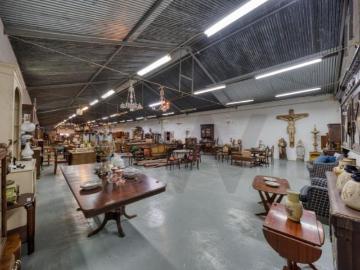 Casaa Santarém Santarém DS98332363