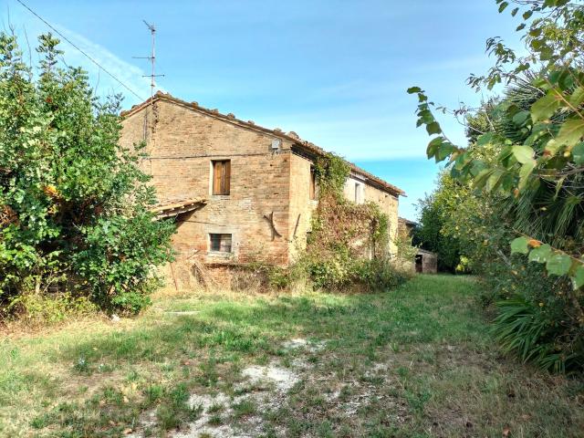 Casale 300mq vista mare 1Ha olivi Serra de' Conti 300m² Serra de' Conti