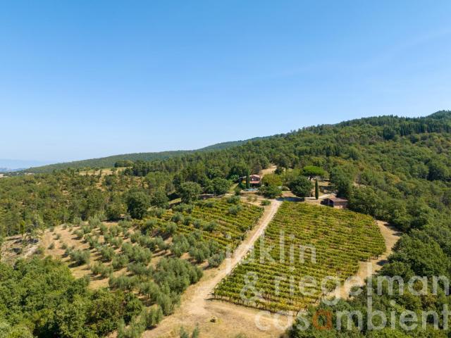 Casale con produzione di vino e olive su 31 ettari di terren. 518m² Montegabbione
