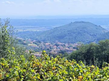 Casale con terreno e vista panoramica mozzafiato in vendita. 312m² Buti