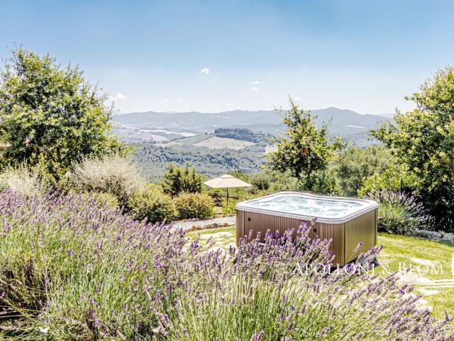 Casale di lusso con vigneto, Montecatini Val di Cecina, Pisa. 320m² Montecatini Val di Cecina