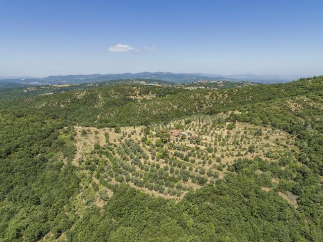 Casale di Sant'Ellero 09Hs 612m² Civitella in Val di Chiana