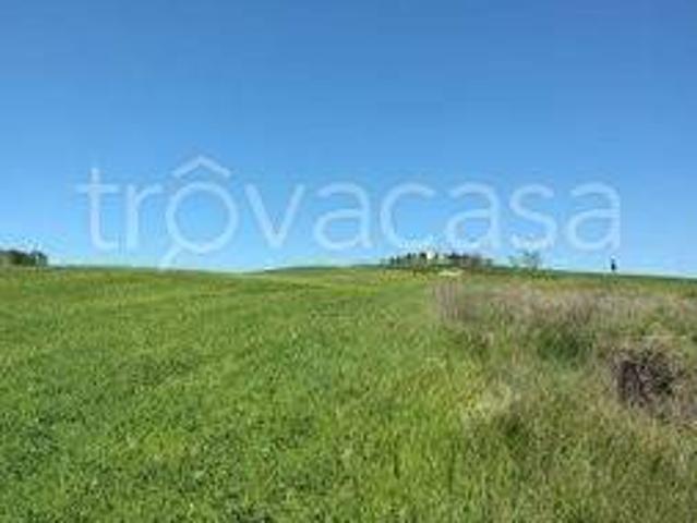 Casale in affitto a Radicofani via Roma, arredato, giardino privato, vista panoramica TrovaCasa