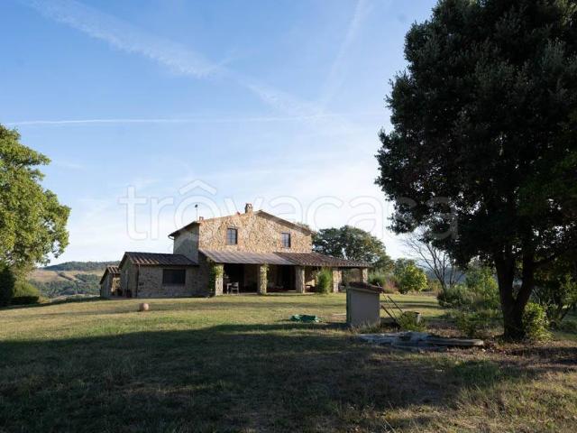 Casale in affitto a Scansano strada Provinciale Amiatina, arredato, giardino privato, vista panoramica TrovaCasa