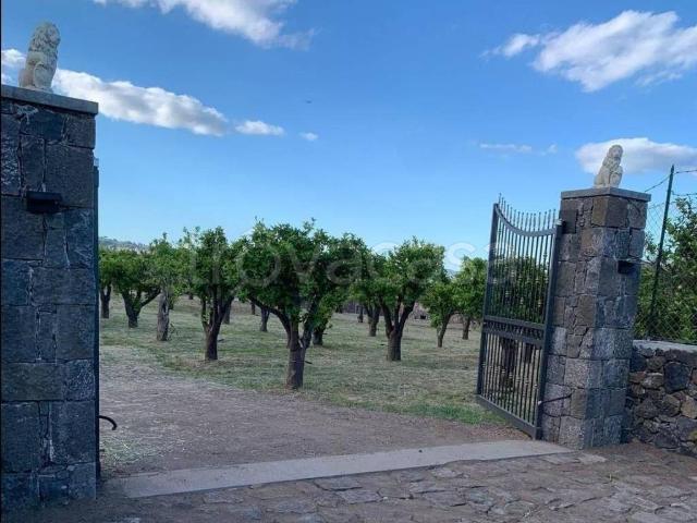 Casale in in affitto da privato a Giarre via delle Rose, giardino, posto auto, da privato TrovaCasa