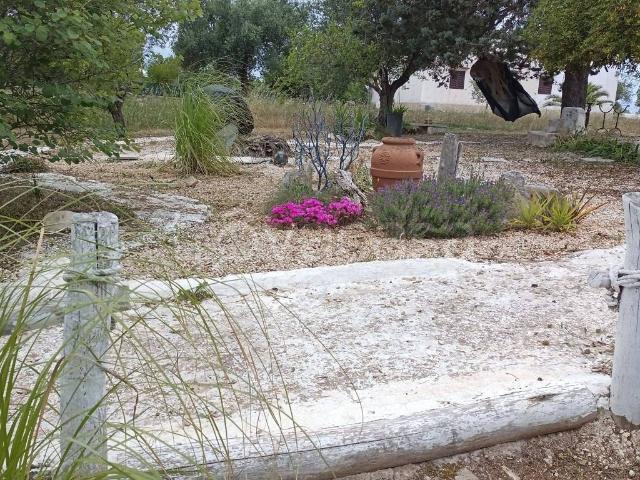 Casale in in affitto da privato a Ostuni contrada Certosa, Snc, arredato, giardino, da privato TrovaCasa