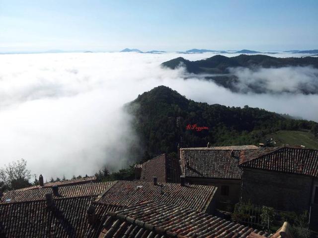 Casale in in affitto da privato a Monte Santa Maria Tiberina strada Provinciale 103, da privato, ristrutturato TrovaCasa